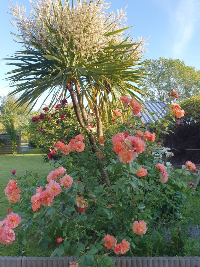 Bed & Breakfast La Bastide Du Moulin - Mont St Michel
